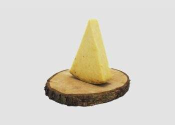 Cantal Vieux AOP