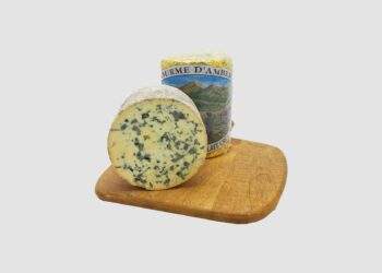 Fourme d’Ambert AOP