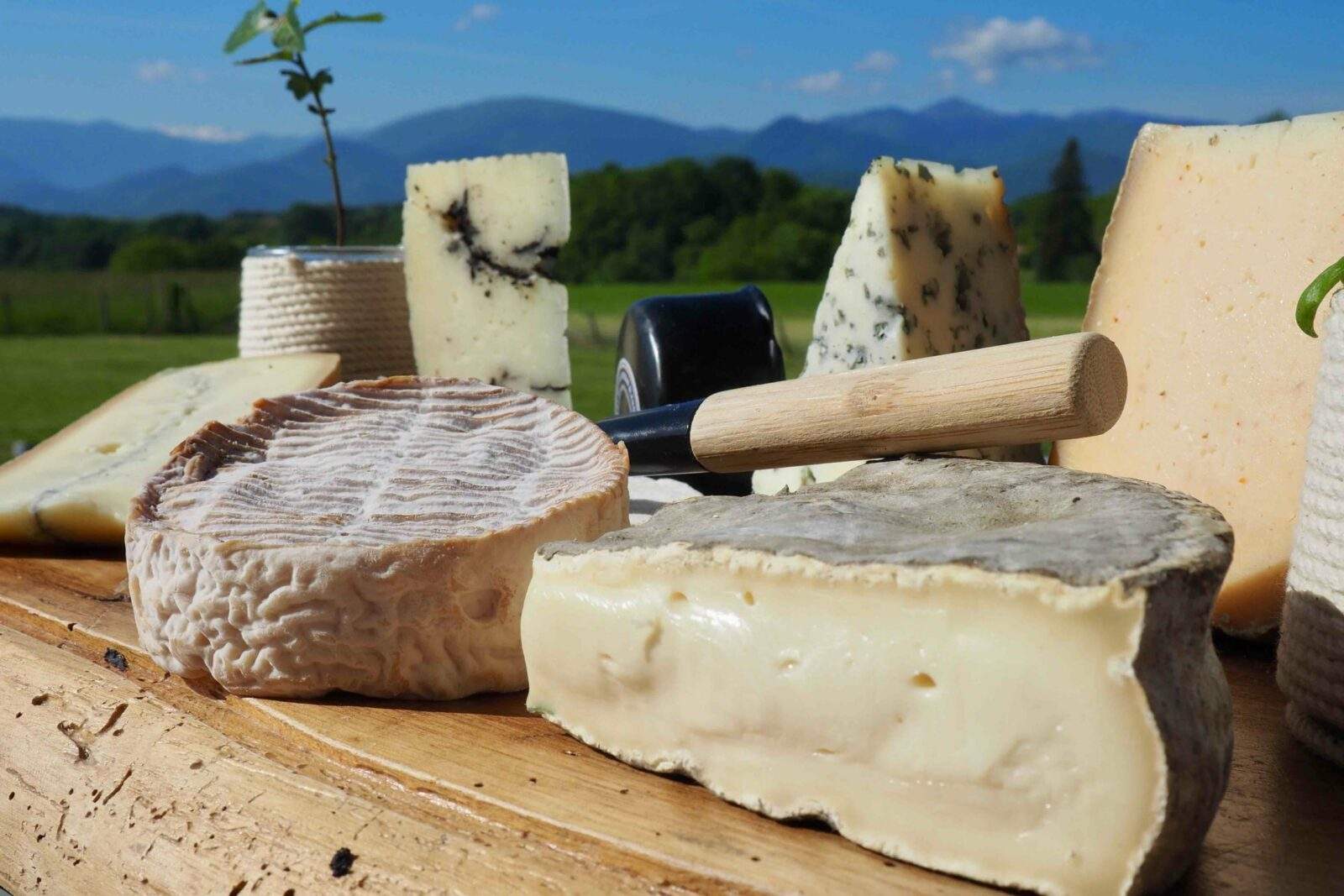 Une passion pour les fromages des Pyrénées