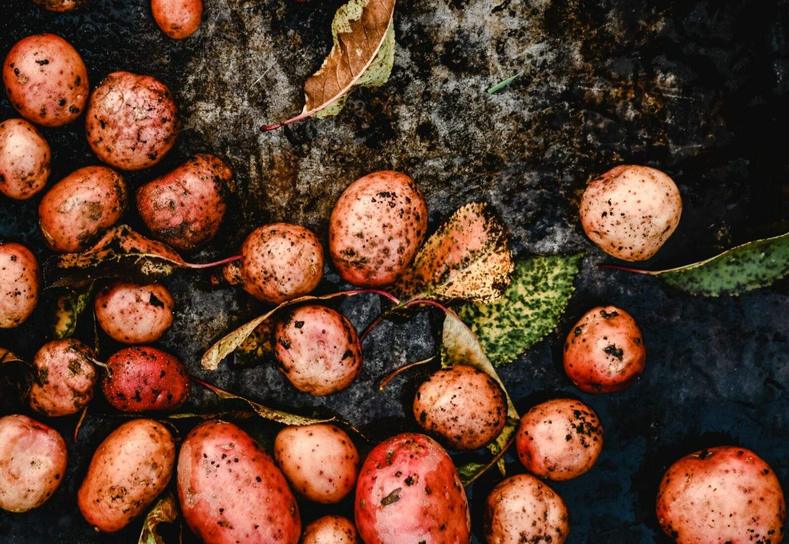Recette : Saucisses de Morteau au Mont d’Or et pommes de terre gratinées