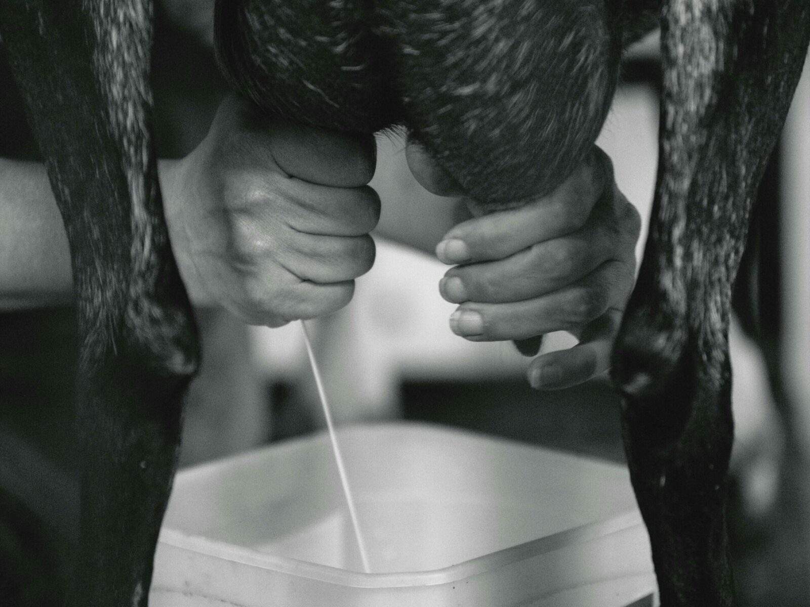 Pourquoi faut-il du lait pour faire du fromage ?