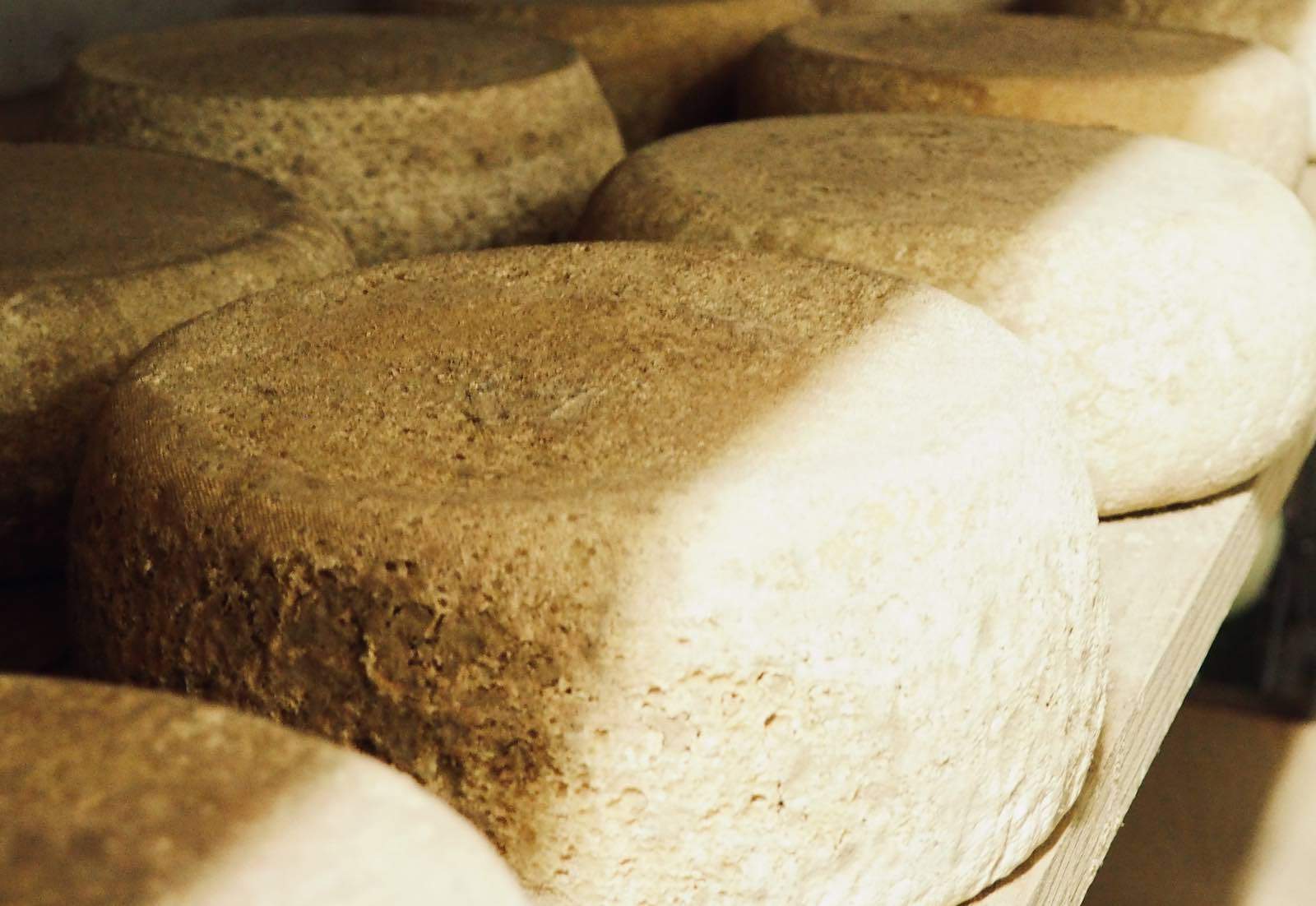 Quelle période de dégustation pour quel fromage ?